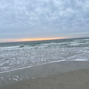 Meet your Posher, Anne